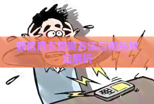 新信用卡查询方法与相关规定解析