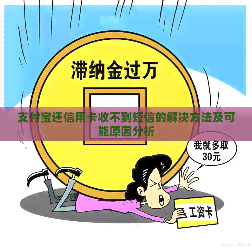 支付宝还信用卡收不到短信的解决方法及可能原因分析