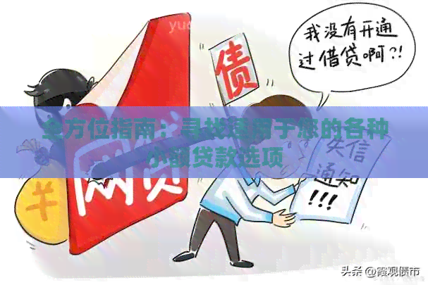 全方位指南：寻找适用于您的各种小额贷款选项
