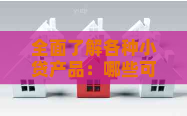 全面了解各种小贷产品：哪些可以下款？如何申请？额度、利率等详解