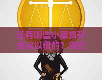 还有哪些小额贷款是可以借的？现在可用的小额贷款平台和推荐