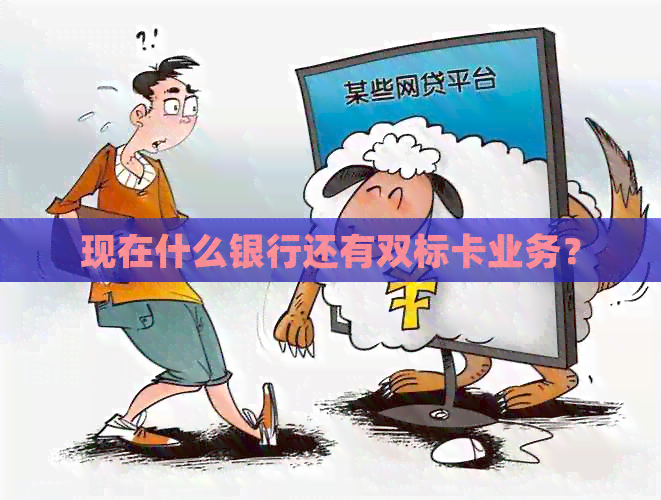 现在什么银行还有双标卡业务？