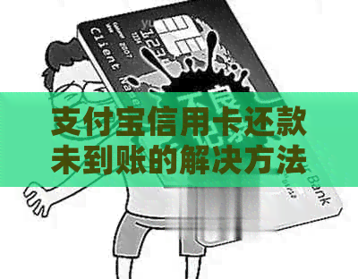 支付宝信用卡还款未到账的解决方法与疑问解答