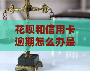 信用卡和信用卡逾期怎么办是您想要的标题。请问您需要我帮您做什么吗？