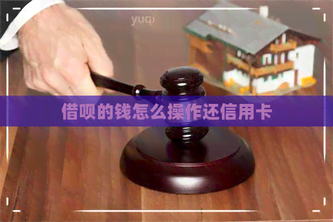 网贷的钱怎么操作还信用卡