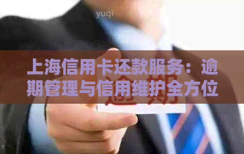 上海信用卡还款服务：逾期管理与信用维护全方位指南
