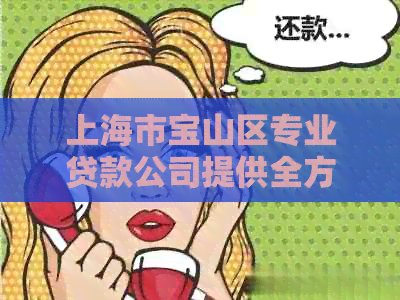 上海市宝山区专业贷款公司提供全方位贷款解决方案及相关服务