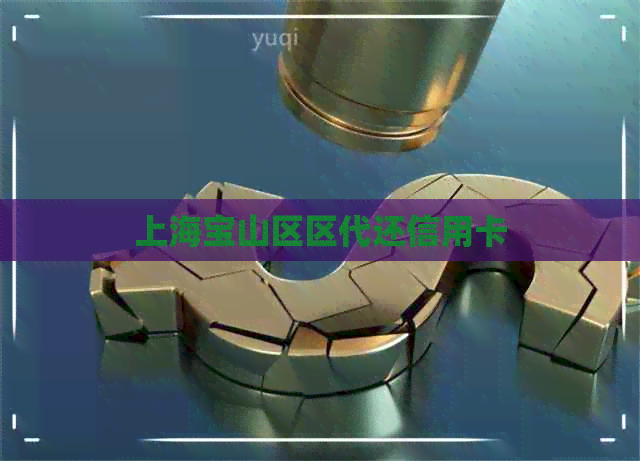 上海宝山区区代还信用卡