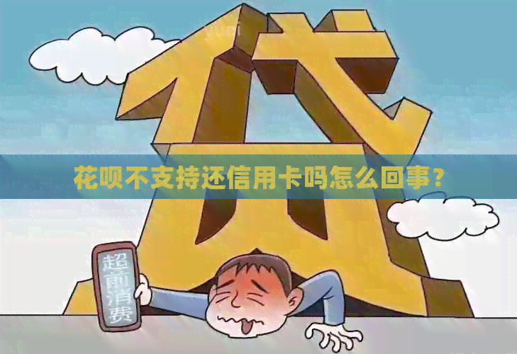 信用卡不支持还信用卡吗怎么回事？