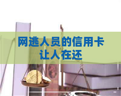 网逃人员的信用卡让人在还