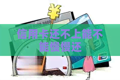 信用卡还不上能不能慢慢还