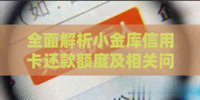 全面解析小金库信用卡还款额度及相关问题，帮助您轻松管理信用卡财务