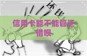 信用卡能不能管还网贷
