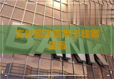 支付宝还信用卡钱哪里看