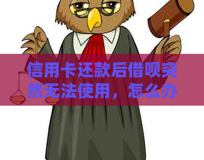 信用卡还款后网贷突然无法使用，怎么办？