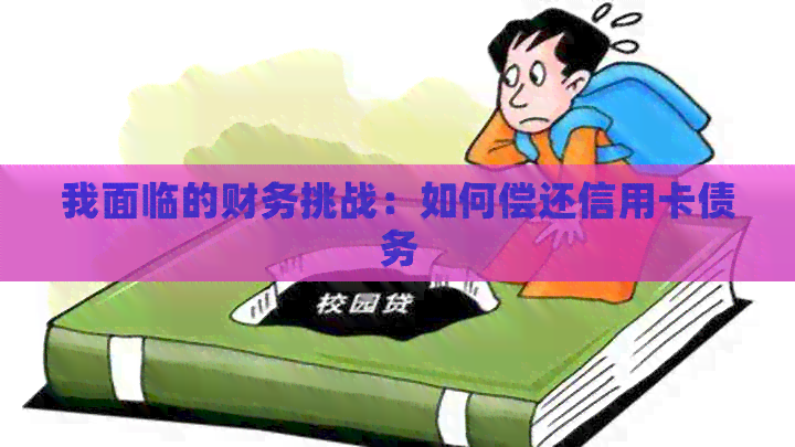 我面临的财务挑战:如何偿还信用卡债务 我面临的财务挑战:如何偿还信用卡债务