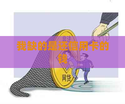 我缺的是还信用卡的钱