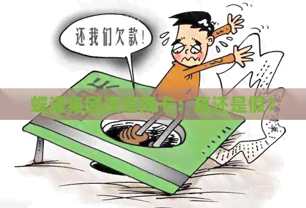 蝶诺集团还信用卡：真还是假？