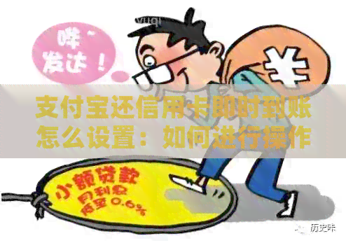 支付宝还信用卡即时到账怎么设置：如何进行操作及时间、密码相关设置？