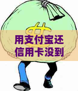 用支付宝还信用卡没到账怎么回事：解决步骤及后续处理