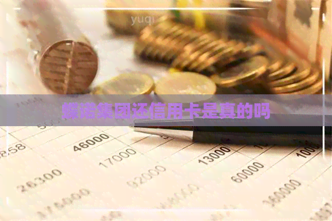 蝶诺集团还信用卡是真的吗
