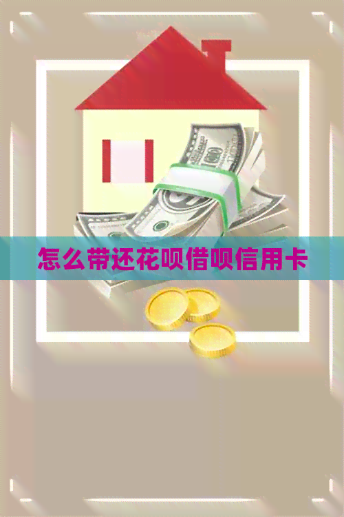 怎么带还信用卡网贷信用卡