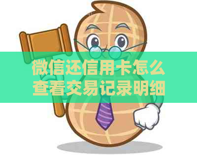 微信还信用卡怎么查看交易记录明细
