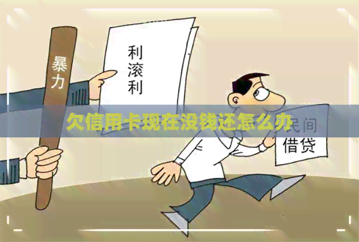 欠信用卡现在没钱还怎么办
