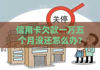 信用卡欠款一万五个月没还怎么办？