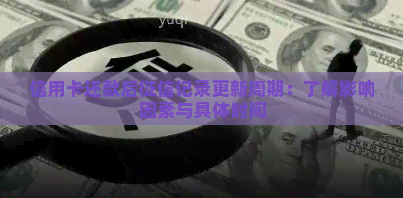 信用卡还款后记录更新周期：了解影响因素与具体时间