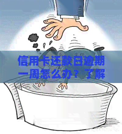 信用卡还款日逾期一周怎么办？了解逾期影响和解决方法