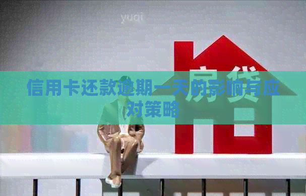 信用卡还款逾期一天的影响与应对策略