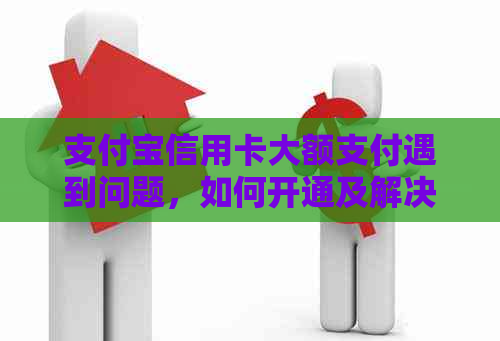 支付宝信用卡大额支付遇到问题，如何开通及解决限额限制