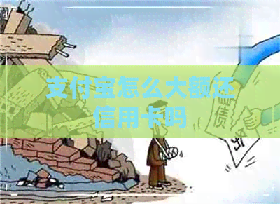 支付宝怎么大额还信用卡吗