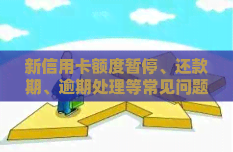 新信用卡额度暂停、还款期、逾期处理等常见问题解答及应对策略