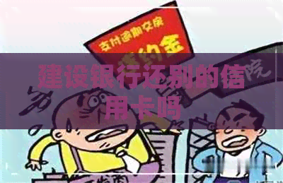 建设银行还别的信用卡吗