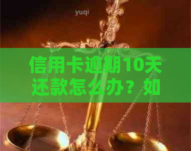信用卡逾期10天还款怎么办？如何办理分期还款以解决欠款问题？