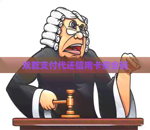 双乾支付代还信用卡安全码