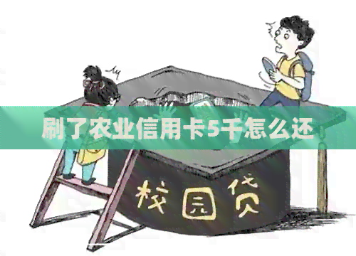刷了农业信用卡5千怎么还