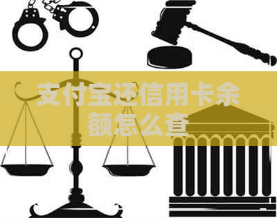 支付宝还信用卡余额怎么查