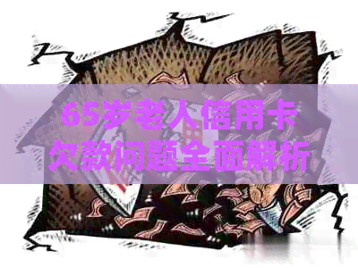 65岁老人信用卡欠款问题全面解析：如何妥善处理债务并避免信用风险