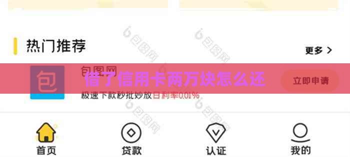 借了信用卡两万块怎么还