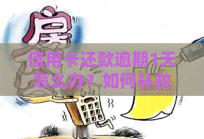 信用卡还款逾期1天怎么办？如何补救和避免影响信用记录的完整指南
