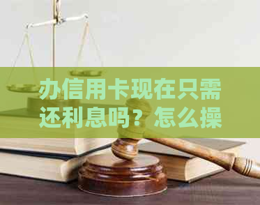 办信用卡现在只需还利息吗？怎么操作？费用是多少？