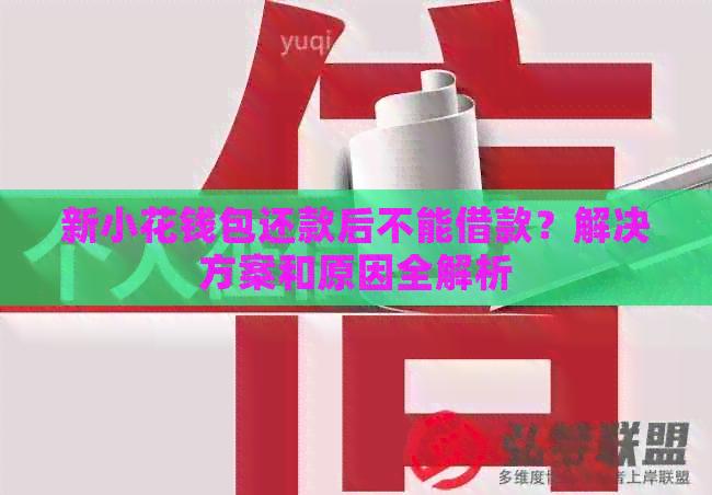 新小花钱包还款后不能借款？解决方案和原因全解析