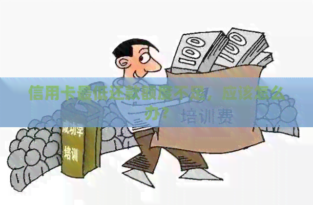 信用卡更低还款额度不足，应该怎么办？