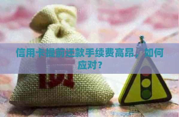 信用卡提前还款手续费高昂，如何应对？