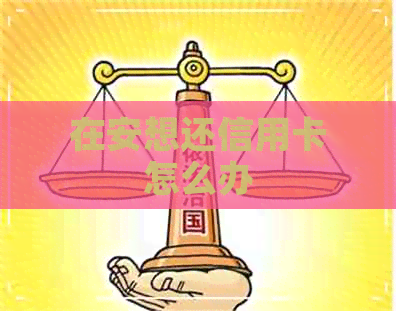 在安想还信用卡怎么办