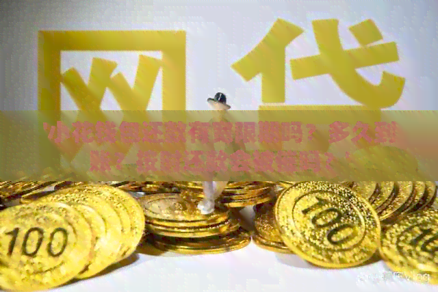'小花钱包还款有宽限期吗？多久到账？按时还款会被催吗？'