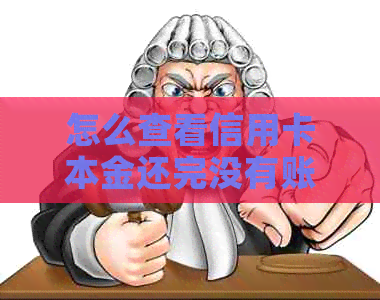 怎么查看信用卡本金还完没有账单及额度